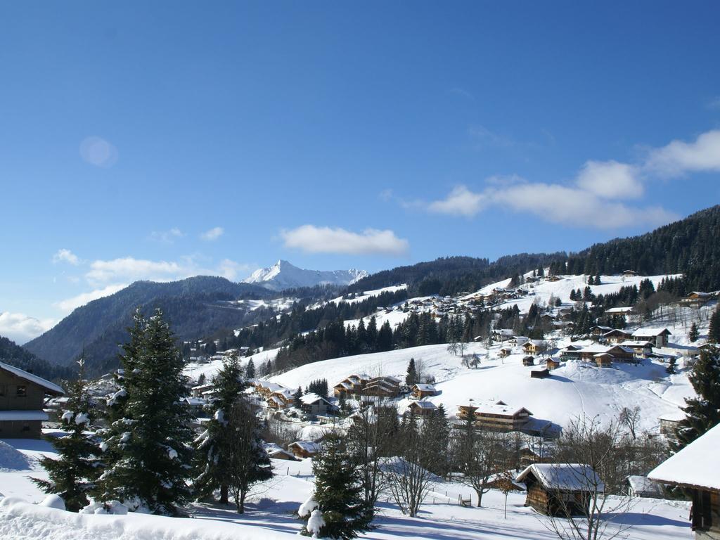 Magnificent Chalet On The Mountain Slopes Les Gets Exterior photo
